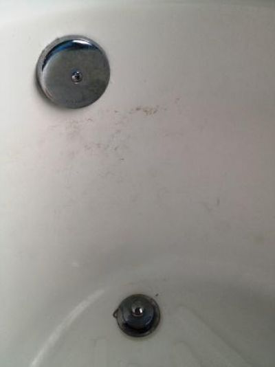 sprzatanie Siedlce